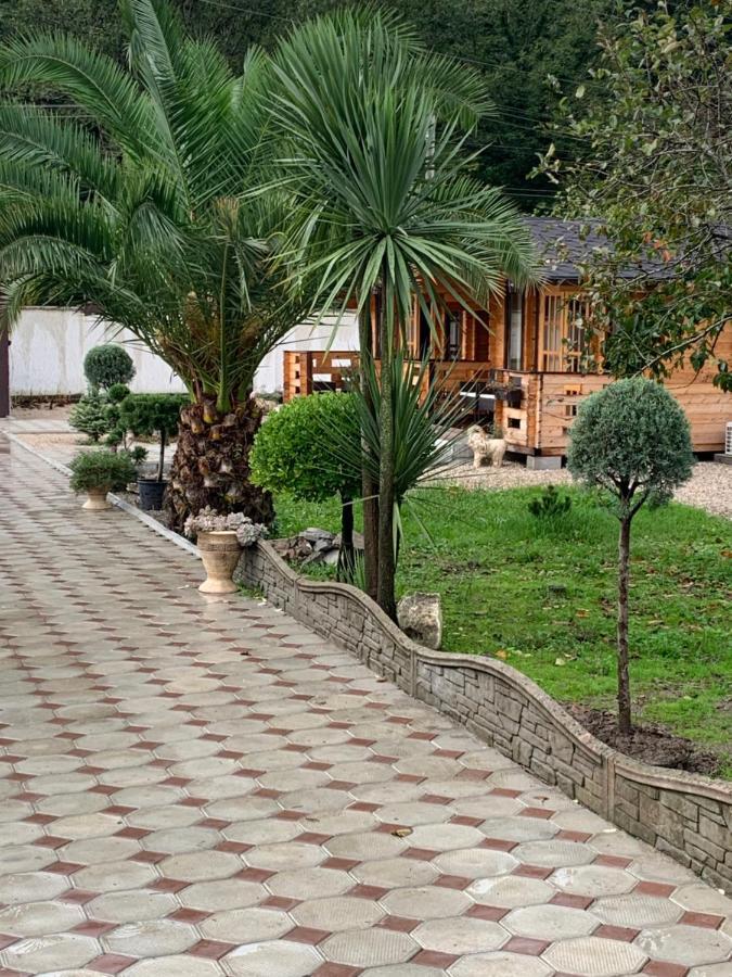 Olginka Villa Гагра Екстериор снимка